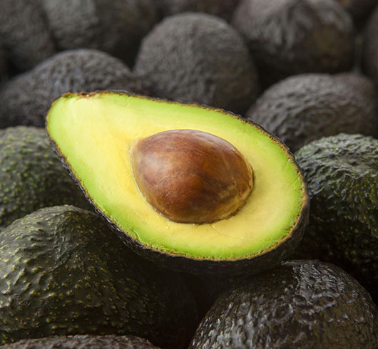 Palta Hass premium